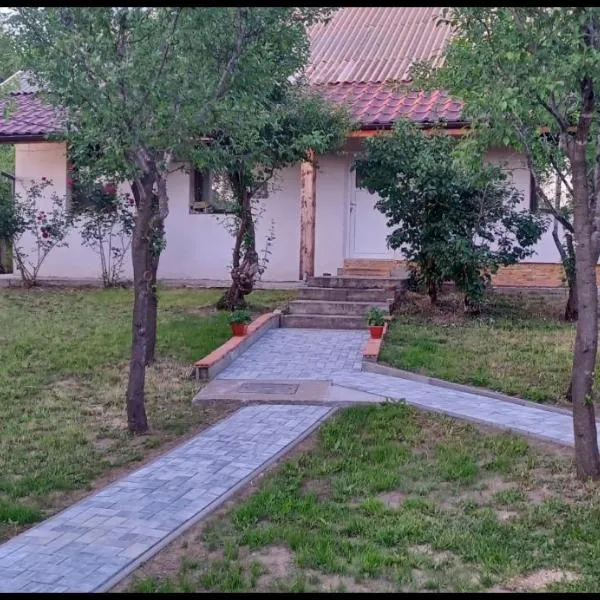 Ferdinánd Guesthouse，位于Viile Satu Mare的酒店