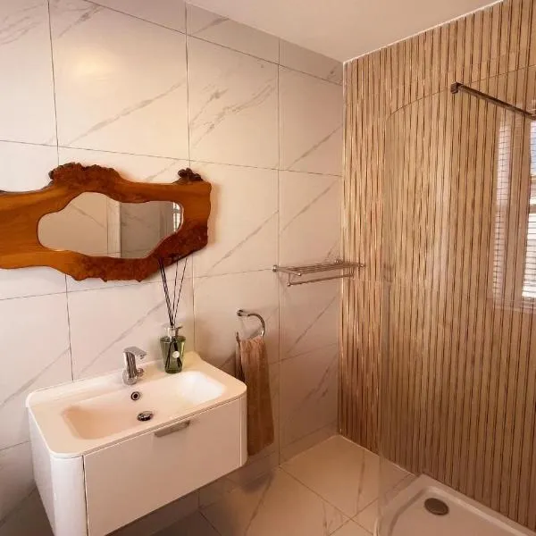 Croke park apartment，位于都柏林的酒店