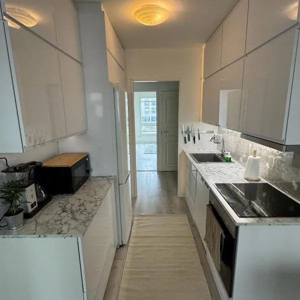 2 bedroom condo with a balcony in the center of Helsinki，位于赫尔辛基的酒店