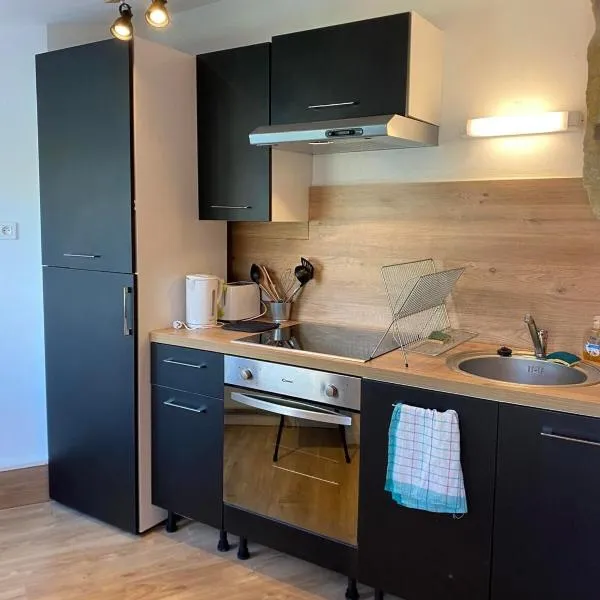 Studio 2 personnes Villandry avec jardin，位于维朗德里的酒店