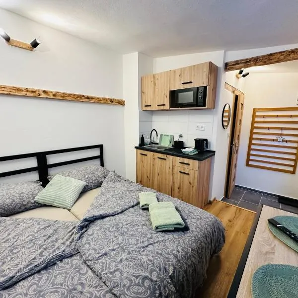 Apartmán v klidné části Benešova，位于贝内绍夫的酒店