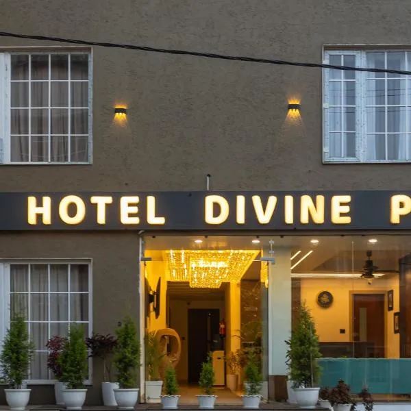 Hotel Divine Peak，位于伯杰默里的酒店