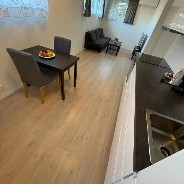 Temis apartment, private new 1 bed room and 1 living room with sofa bed and lagre kitchen, share with nobody，位于奥斯陆的酒店