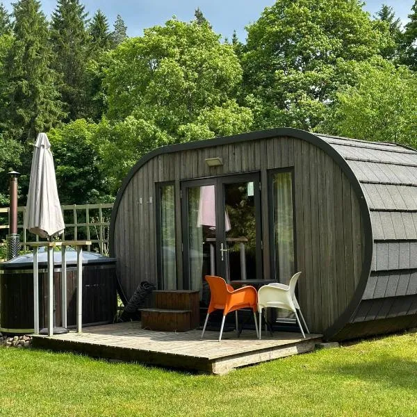 B&B Pod Lake Plateliai，位于Medsėdžiai的酒店