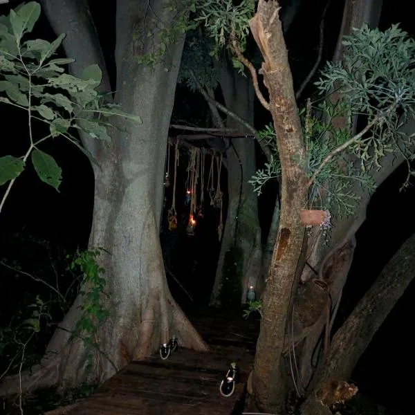 Klein Eden Forest，位于勒斯滕堡的酒店