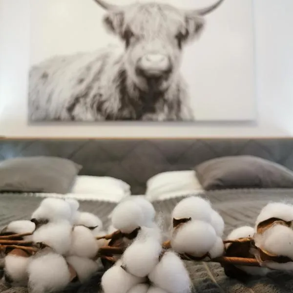 SmartApart - Design Apartment - Favorite Place - Full Equipment - Public Transport，位于纽伦堡的酒店