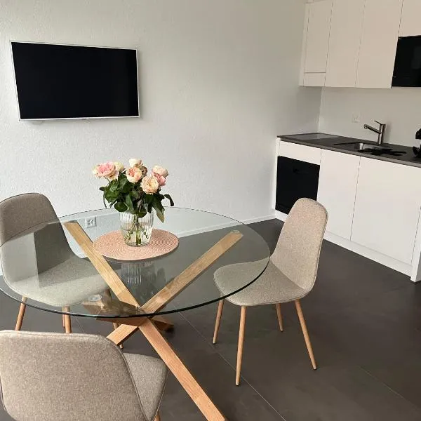 Neues 2 Zimmer Studio am Fusse des Niesen am Thunersee，位于Aeschi bei Spiez的酒店