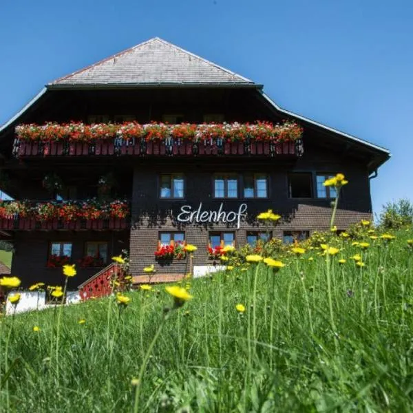 Erlenhof，位于托特瑙的酒店