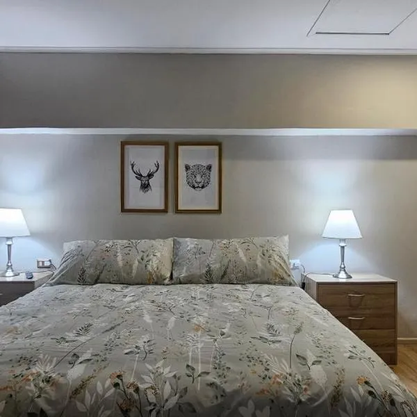 Hostal Paso por La Serena，位于拉塞雷纳的酒店