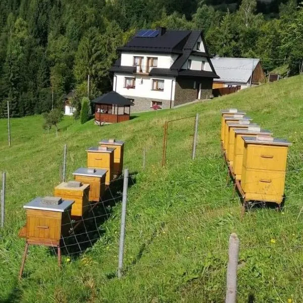 Agroturystyka Anna，位于奧考特尼查古尔纳的酒店