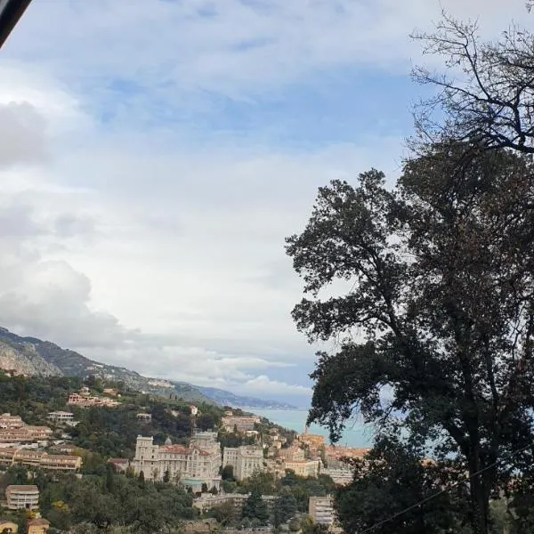 Mini châlet vue mer，位于芒通的酒店