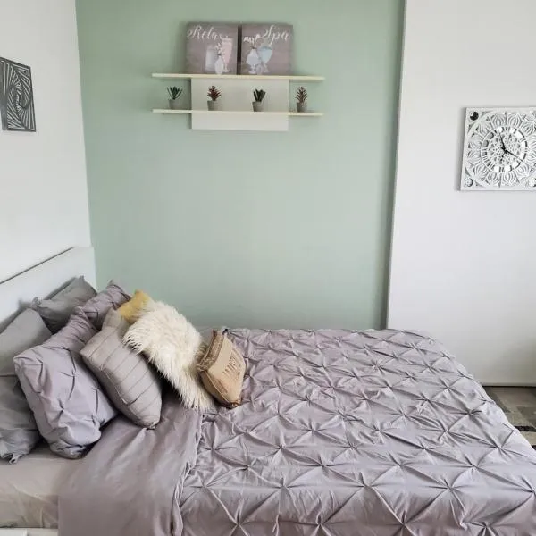 Relax Spa Apartment Novi Sad-Private Parking，位于诺维萨德的酒店