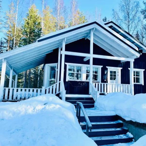 Blueberry Villa at Saimaa Lakeside，位于Taipalsaari的酒店