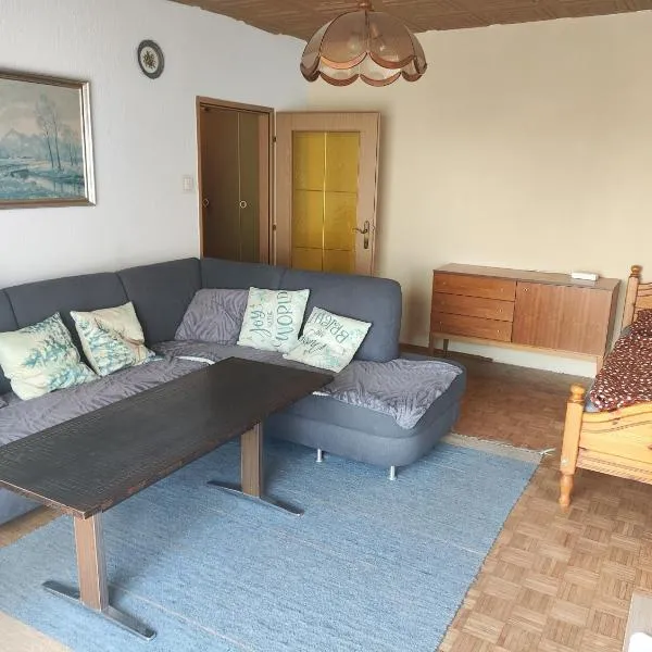 Traun Apartment,位于林茨的酒店
