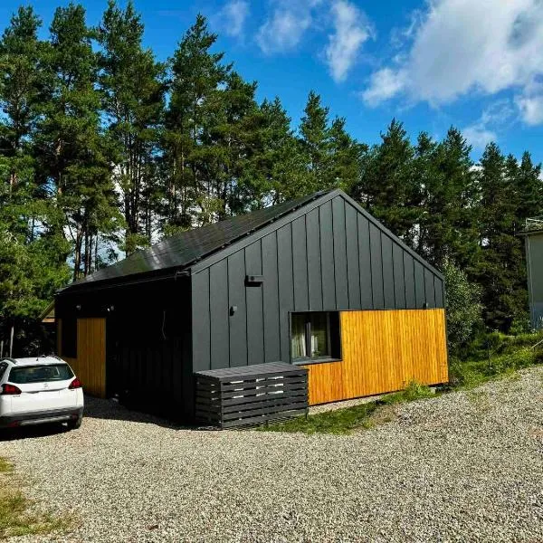 Pinetree Trakai holiday home，位于Gratiškės的酒店