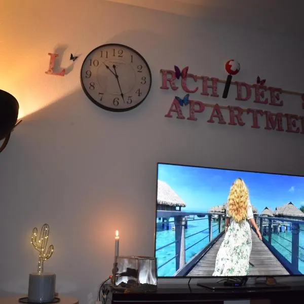 L’orchidée SPA Apartment，位于Breitenbach的酒店