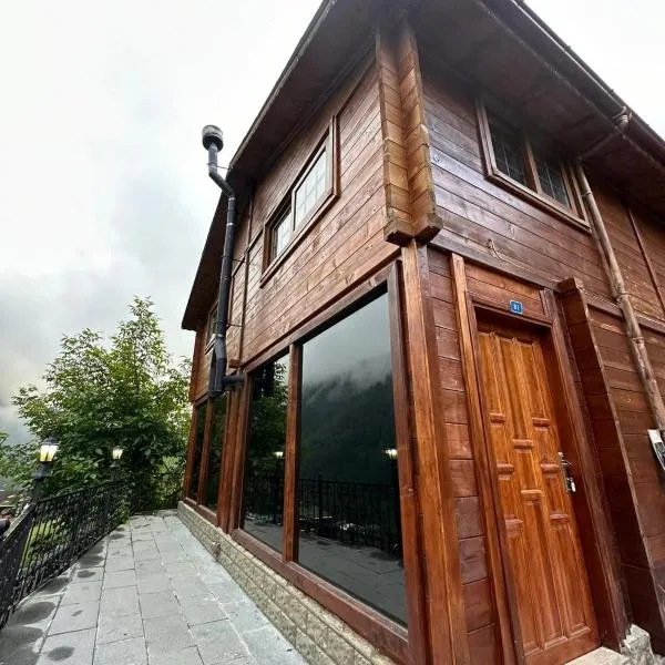 Ayder Villa Bravo，位于艾德亚耶拉西的酒店