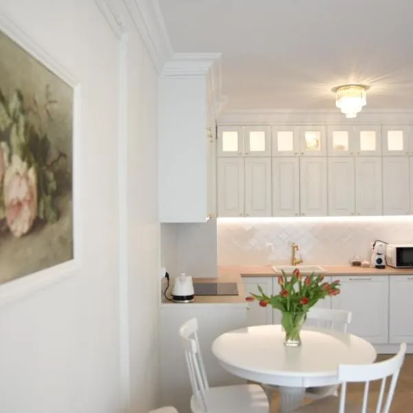 Apartament w centrum miasta- Central Park，位于切哈努夫的酒店