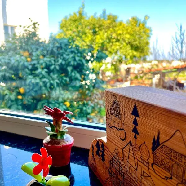 Villa Elke，位于伊斯基亚的酒店