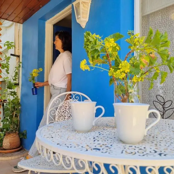 דירת המטיילים של ארץ הגליל，位于埃米瑞姆的酒店