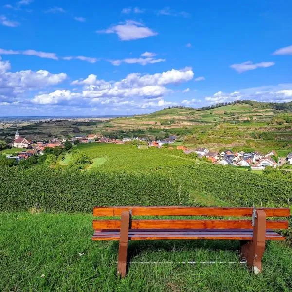 Gästehaus Weingut Mangel，位于恩丁根的酒店