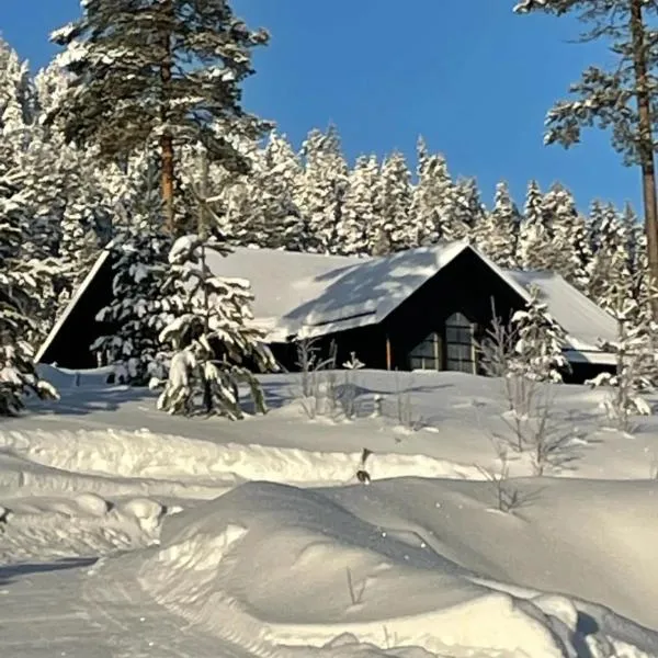 Villavemdalen，位于韦姆达伦的酒店