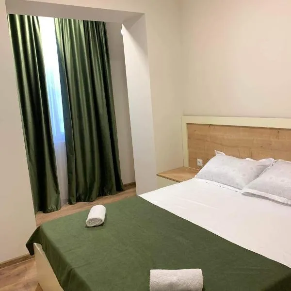 T&T Cozy Apartment Rustavi，位于鲁斯塔维的酒店