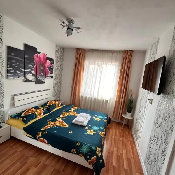 Medeea 1 camera，位于札勒乌的酒店