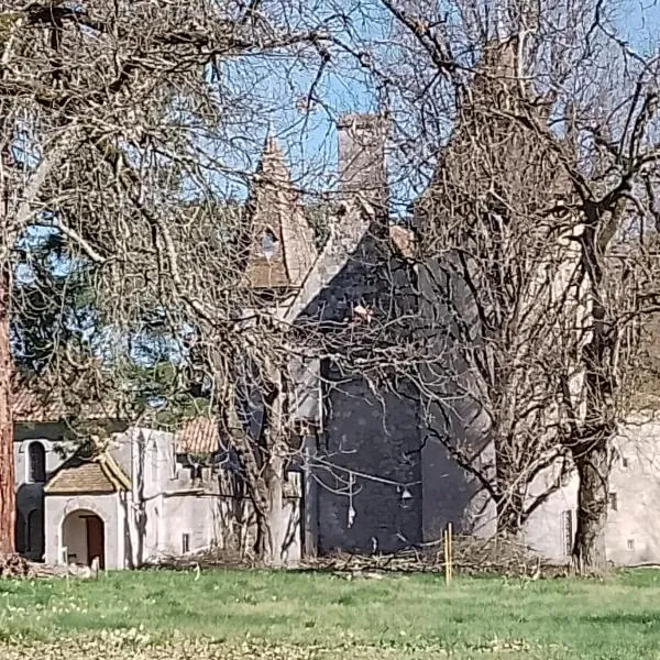 Apartment in a Renaissance castle，位于Layrac的酒店
