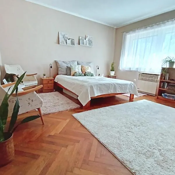 Tulipán Apartman，位于贝凯什乔包的酒店