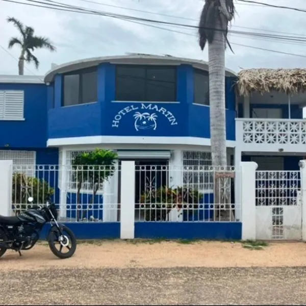 Hotel Martin，位于科罗萨尔的酒店