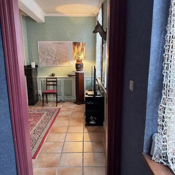 Appartement Centre Ville，位于米雷普瓦的酒店