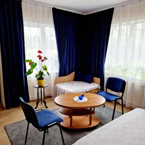 Kambarių nuoma prie Bridvaišio ežero，位于Tytuvėnai的酒店