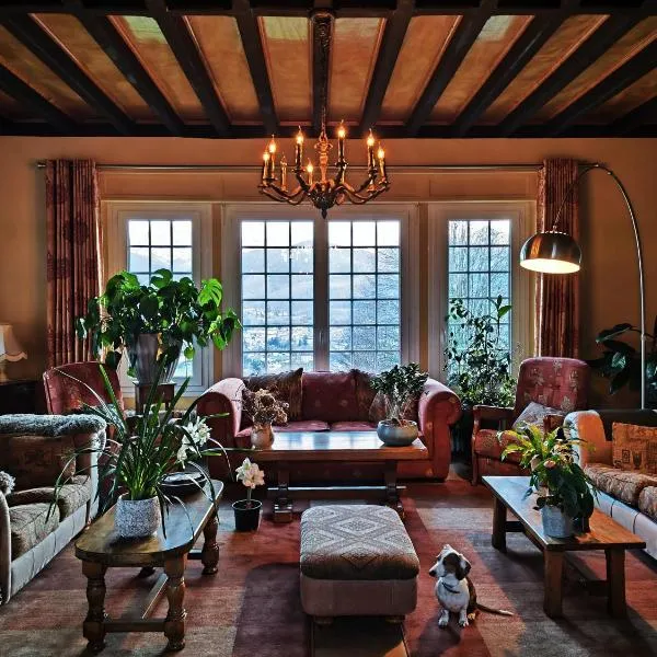 HiPyrenees，位于巴涅尔德比戈尔的酒店