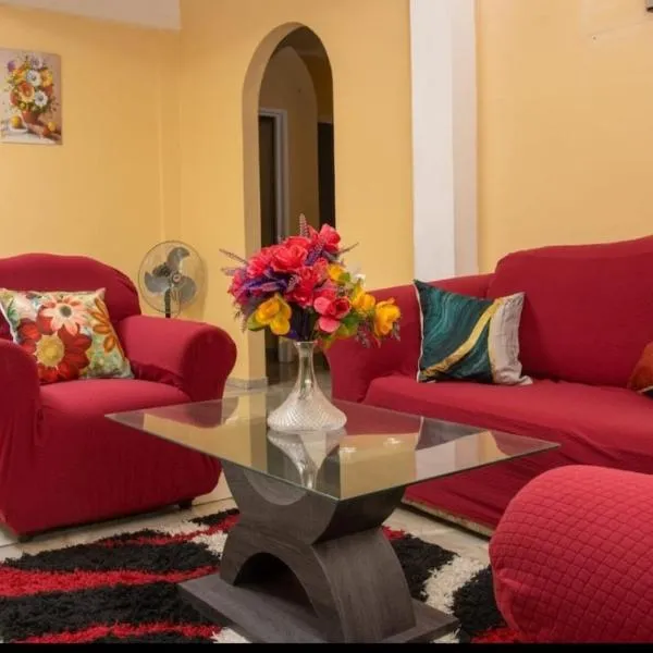 Cozy Apartments And Car Rentals，位于Canefield Airport的酒店