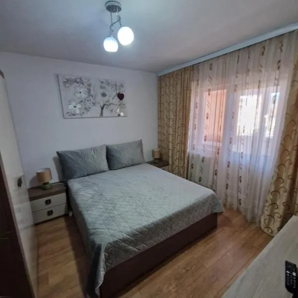 Apartament 2 camere Campulung Muscel，位于肯普隆格的酒店