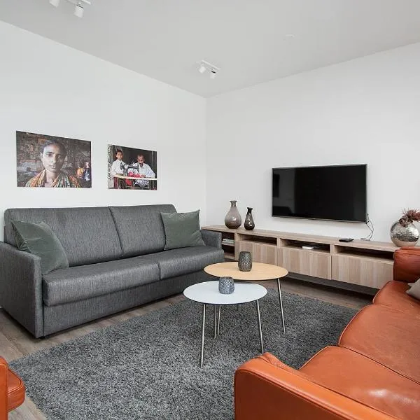 雷克雅维克中央公寓，位于雷克雅未克的酒店