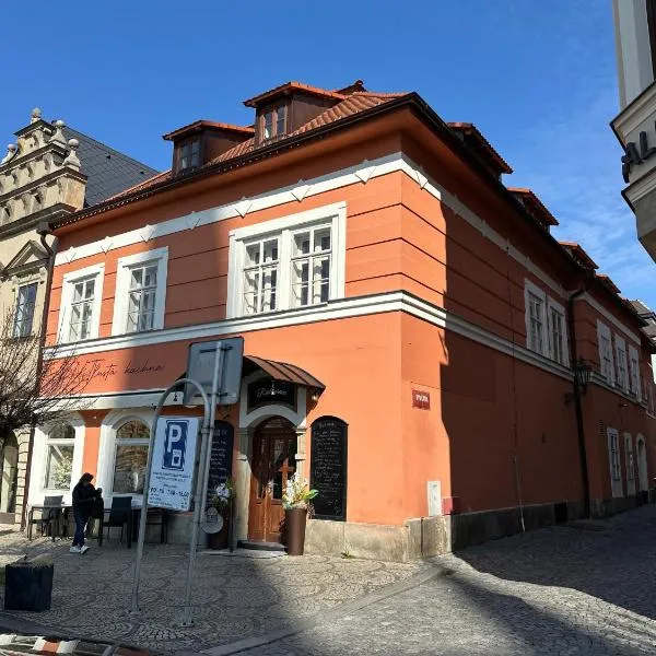 Penzion Tlustá kachna，位于赫鲁迪姆的酒店