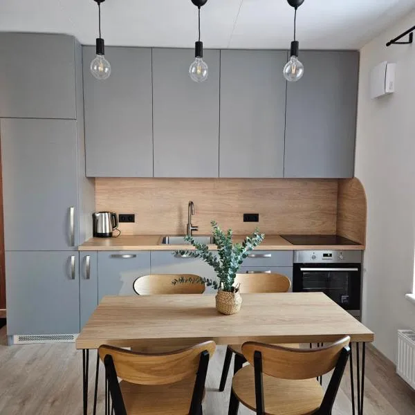 Vilniaus apartamentai，位于维尔纽斯的酒店