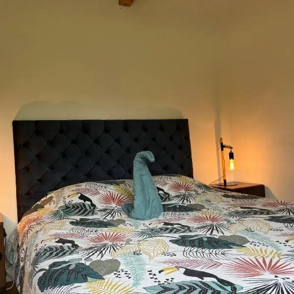 Le P’tit Bois Doré，位于布朗屈埃福尔的酒店
