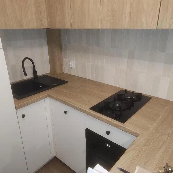 Vistula Flat，位于普沃茨克的酒店