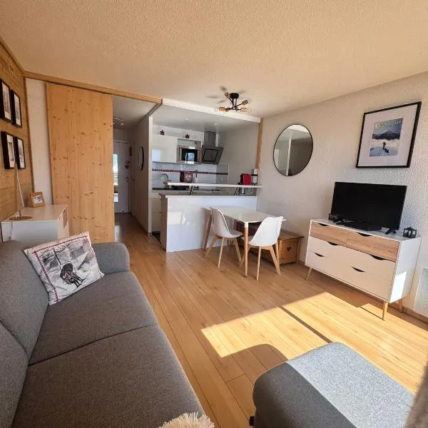 Tout schuss au Panoramic，位于奥尔西埃的酒店