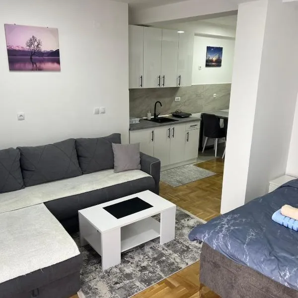 Apartman David，位于Vrnjci的酒店