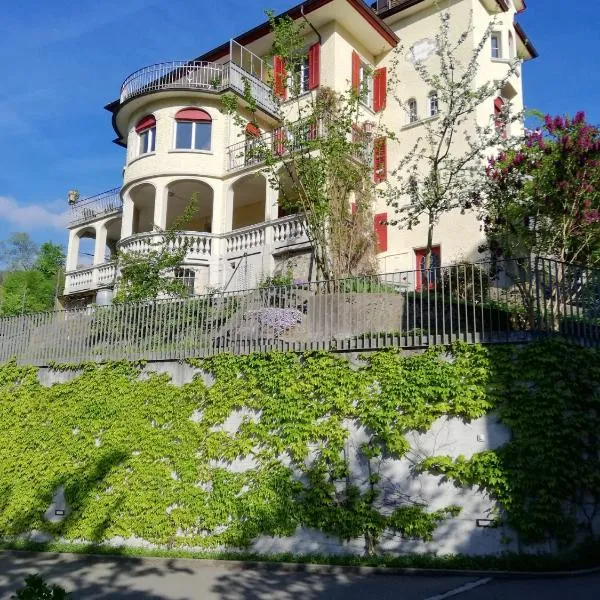 VILLA Turmmattli，位于萨尔嫩的酒店