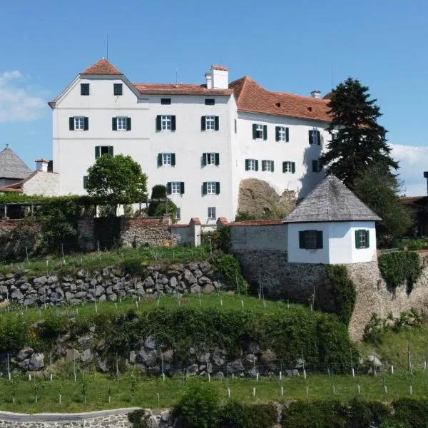 Schloss Kapfenstein，位于卡芬斯蒂恩的酒店