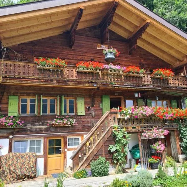 Le Fôret - Cergnat，位于Le Sépey的酒店