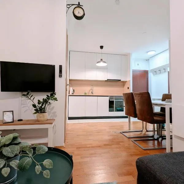 DoMa-Lu apartment-near airport and highway- free parking，位于Velika Mlaka的酒店