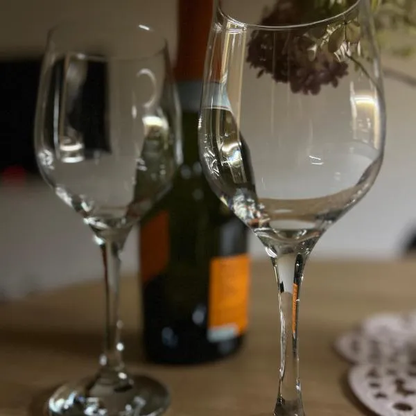 Apartament Chopina，位于沃米安基的酒店