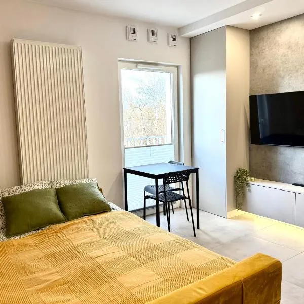 Bliska 17 Warsaw Studio，位于华沙的酒店