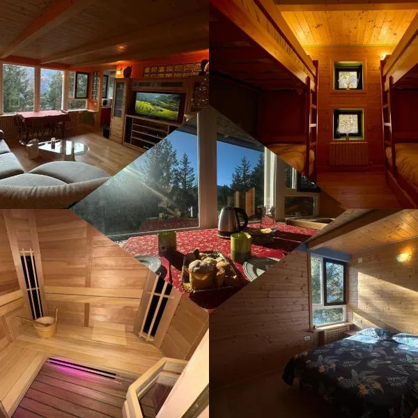 Chalet DolceVista，位于博尔查迪卡多尔的酒店